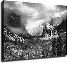 Image result for Ansel Adams Aspens New Mexico