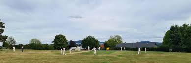 Image result for Almeley Cricket Club