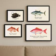 Image result for Rhomboplites aurorubens