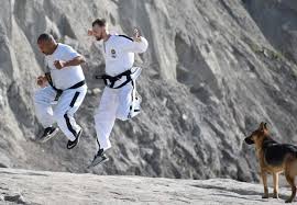Image result for Quest Martial Arts Academy