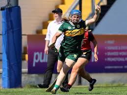Image result for Causeway Hurling Club