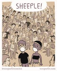 Image result for sheeple