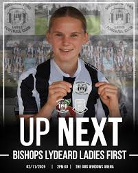 Image result for Sherborne Town Football Club