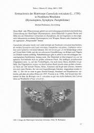 Attēlu rezultāti vaicājumam “Caenolyda reticulata”