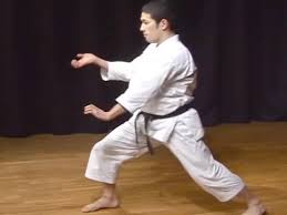 Image result for enpi dojo