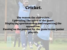 Image result for Ardmore Cricket & Football Club