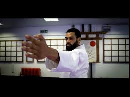 Image result for Zen Shin Seicho Do Adult Karate