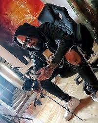 Afbeeldingsresultaat voor panters