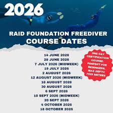 Image result for Bath Freediving Club