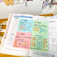 Image result for 17歳の現役看護学生