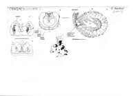 Attēlu rezultāti vaicājumam “Craspedosoma rawlinsi”