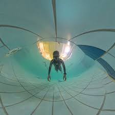 Image result for Apneists UK