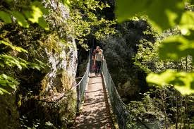 Image result for vallorbe tehron