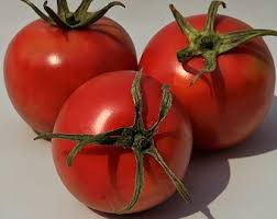 Afbeeldingsresultaat voor hawaiian white cherry tomato