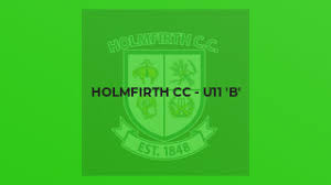 Image result for Holmfirth Cc