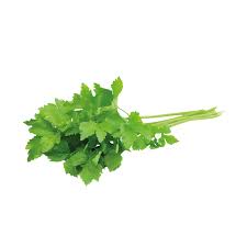 Image result for Koriander