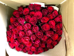 「花薔薇エルフ」の画像検索結果