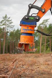 Image result for dipperfox tehron