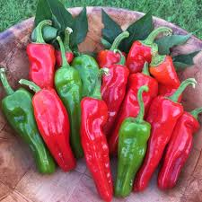 Afbeeldingsresultaat voor red fratali hot pepper