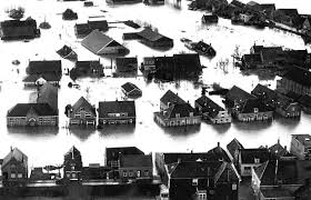 Image result for zeeland 1953