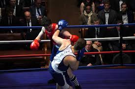 Image result for Uwe Boxing Club