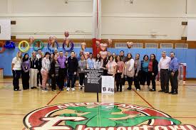 Image result for Abbey Lane Junior Football Club