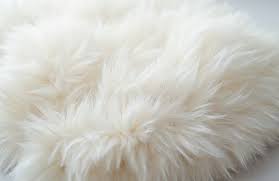 Image result for white rabbit skin texture