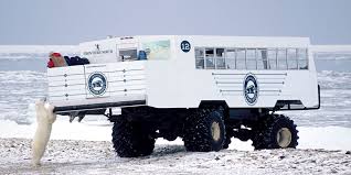 Image result for tundra buggy