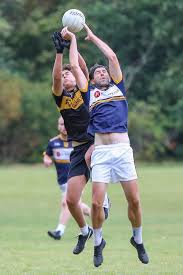 Image result for St Peter`s Gaa