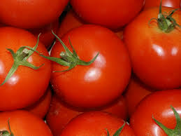 Bildergebnis für tomaten