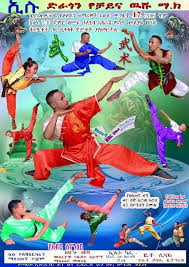 Image result for Dragon Wushu Club