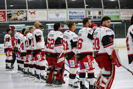 Image result for Swindon Panthers