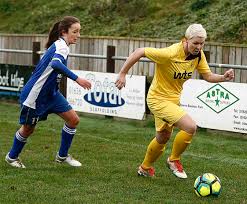 Image result for Buckland & Milber Football Club