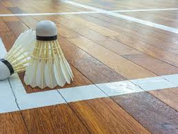 Image result for Crofton Arrows Badminton Club