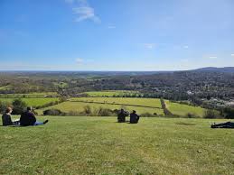 Image result for Box Hill SC