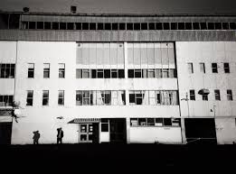 Image result for Bridgman Bowling Club