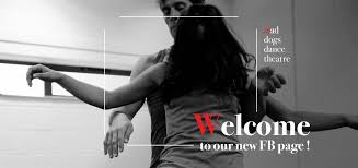 Image result for Leeds Mad Dogs