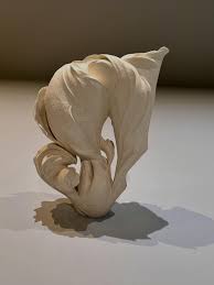 Attēlu rezultāti vaicājumam “Byssocorticium atrovirens”