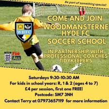 Image result for Woodmansterne Sports Fc