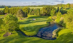 Image result for Ardglass Gfc