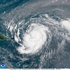 Image result for Halstead Cyclones