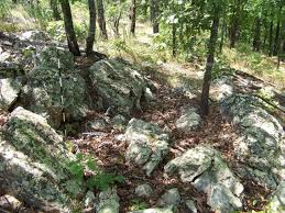 Image result for SEM micrographs of Novaculite Arkansas