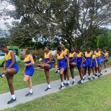 Image result for Highworth Netball Club