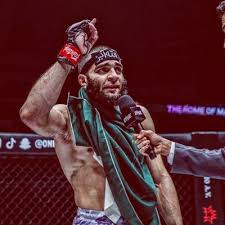 Image result for Wolverine MMA
