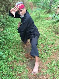 Image result for Silat Perisai Diri Classes Club