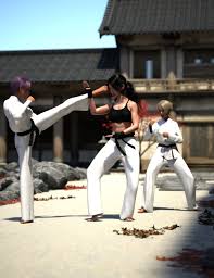 Image result for Kyokushin Karate