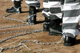 Image result for Freck Chain Gang