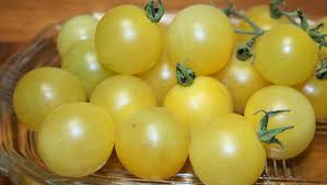 Afbeeldingsresultaat voor hawaiian white cherry tomato