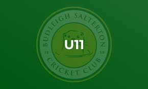 Image result for Ivybridge Cricket Club