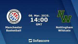 Image result for Nottingham Wildcats